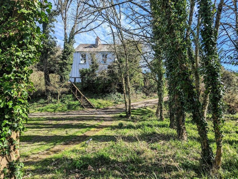Romantic Secluded Hideaway Cottage In Cornwall 트루로 외부 사진